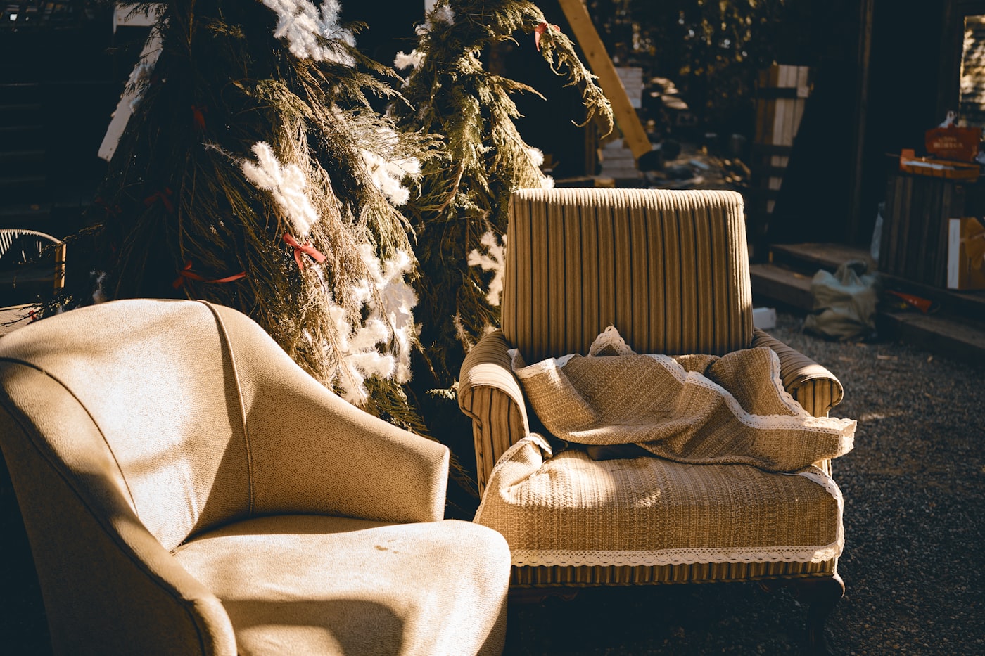 Two worn armchairs standing outdoors in low sun, one in a faded striped cover with a lace edged throw over the seat, the other in flattened pale velvet.